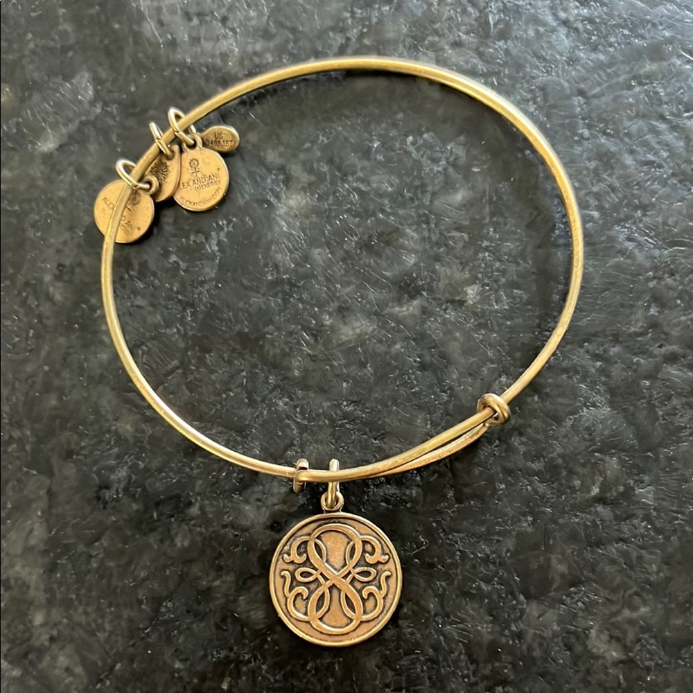Alex and Ani Path of Life color infusion Bangle